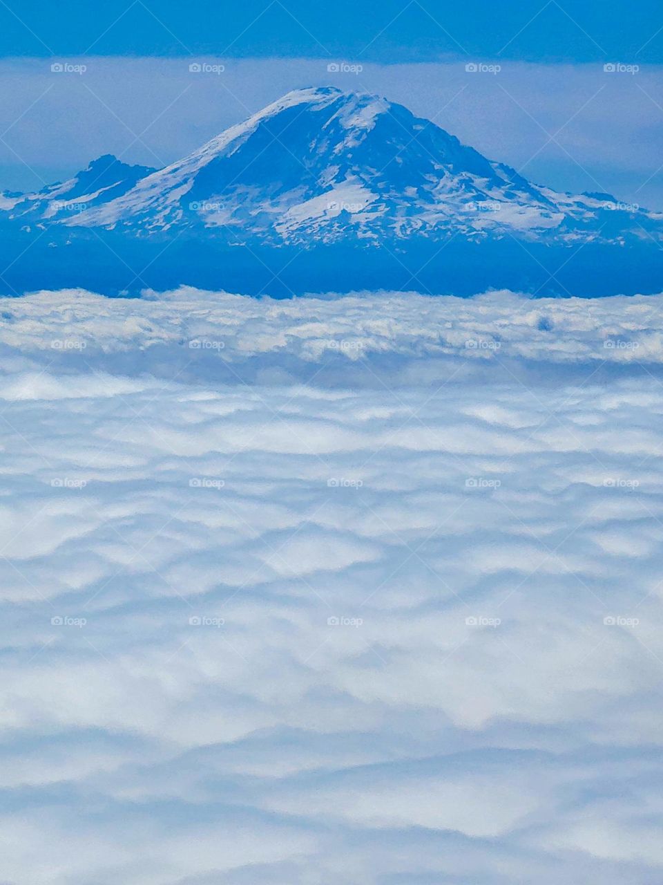 Mt. Rainier in Washington state rises high above the cloud level in the glistening summer sun