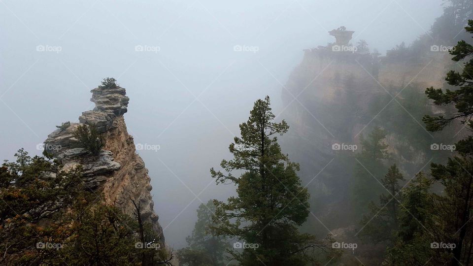 Misty Morning