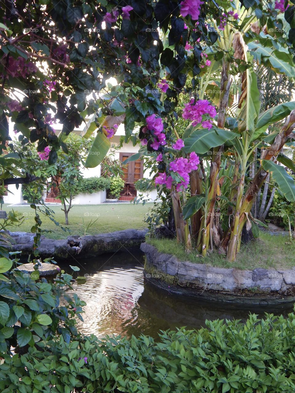 Garden scene with pond