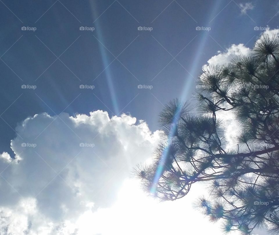 Backlit clouds. I liked the way the sun looked and was positioned. the flare was an added bonus