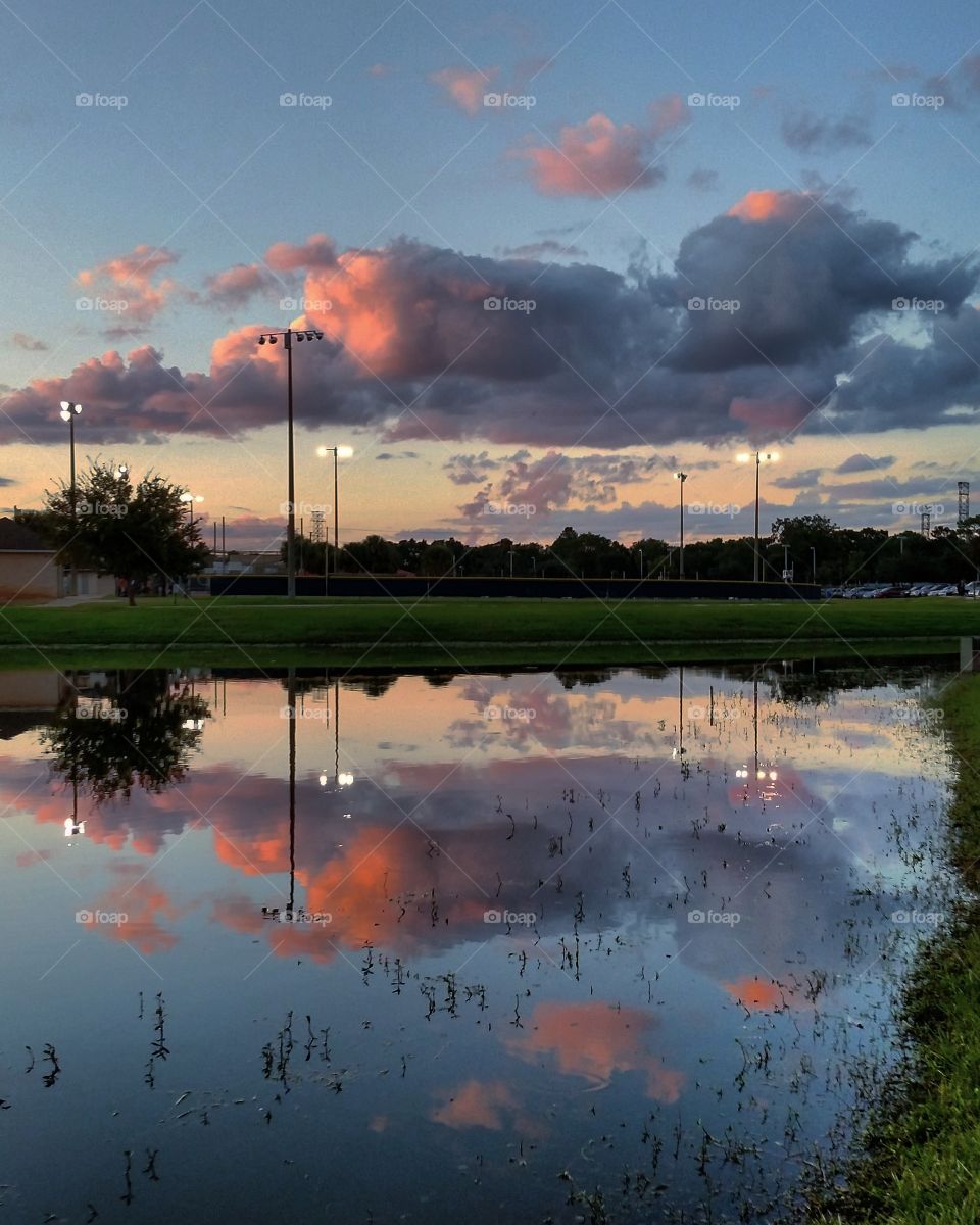 Pond Water Reflection