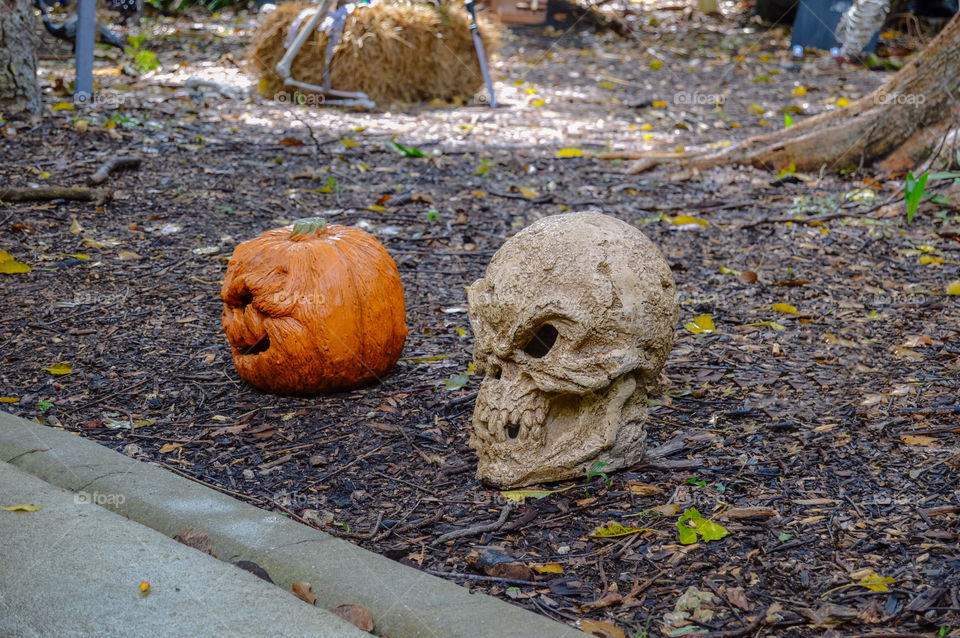 Pumpkin and skull on the ground 