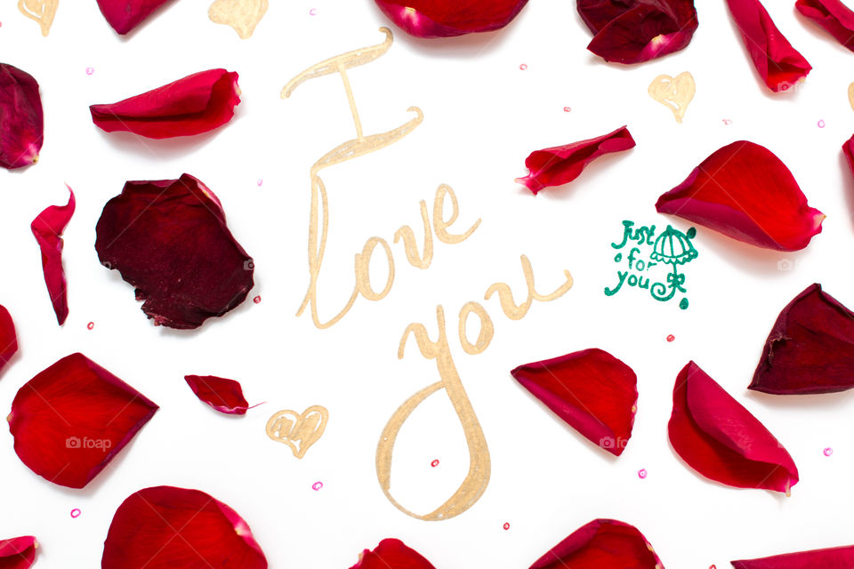 Red Rose Petals With Love Word Text Message Isolated In White Background
