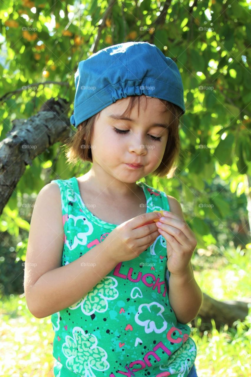 Eating sweet cherries
