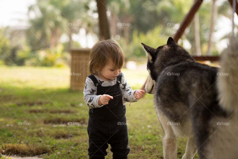 Close-up of a dog and girl standing in garden