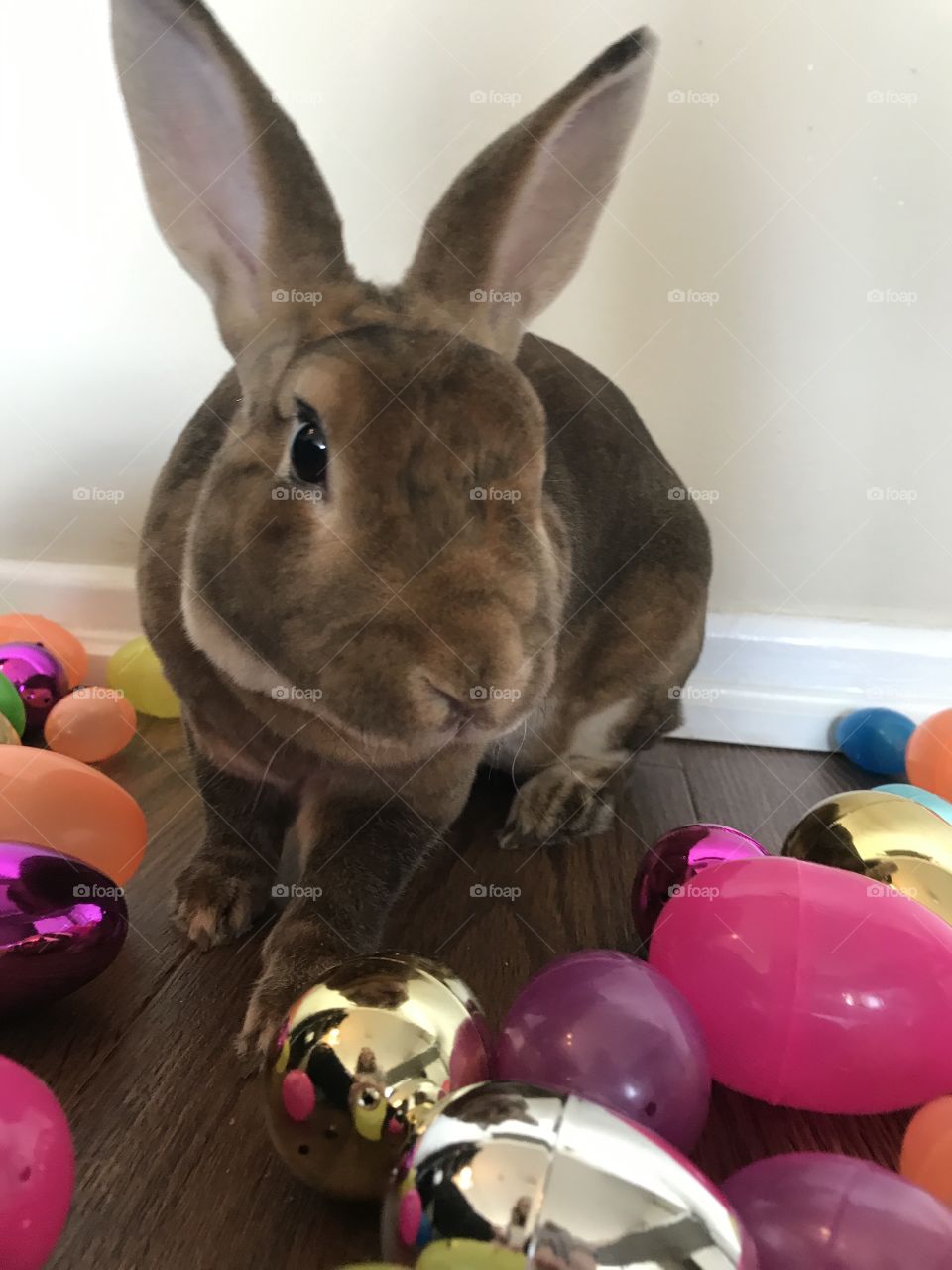 Easter bunny collecting eggs on Easter