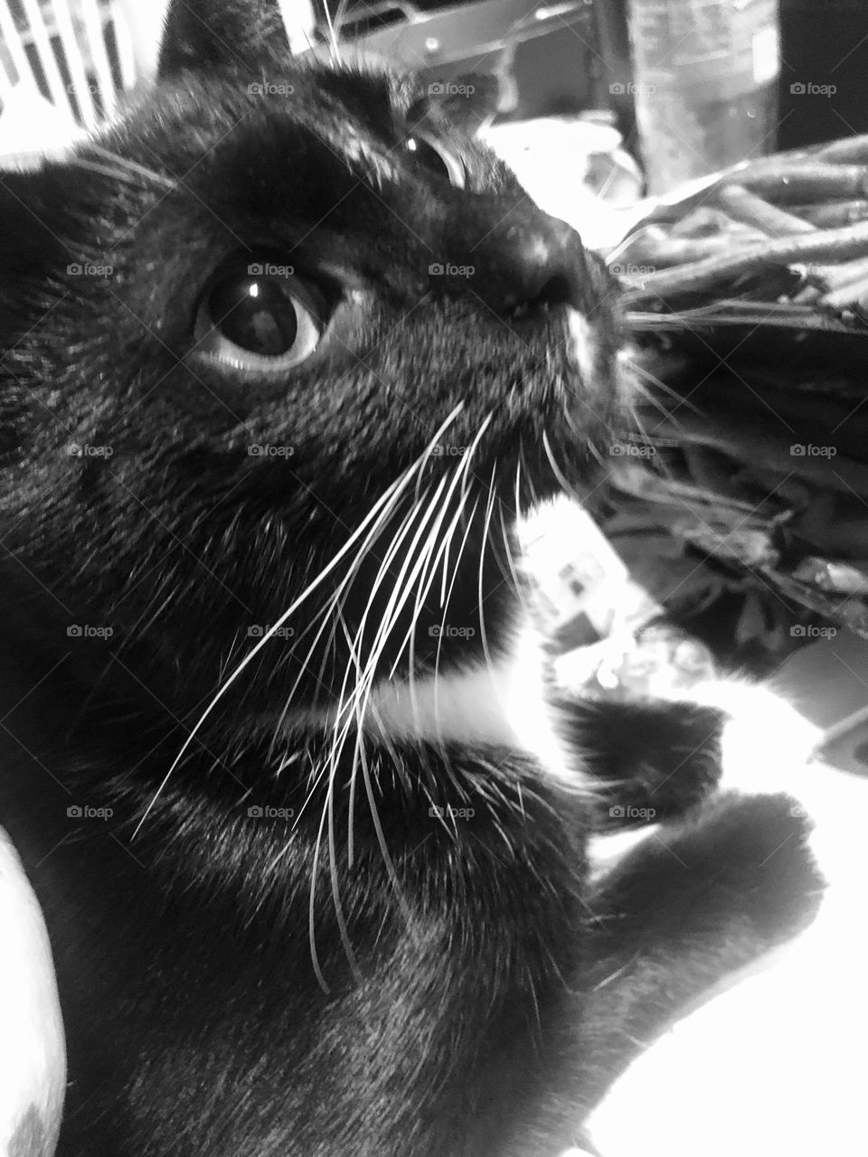 I am up to something…