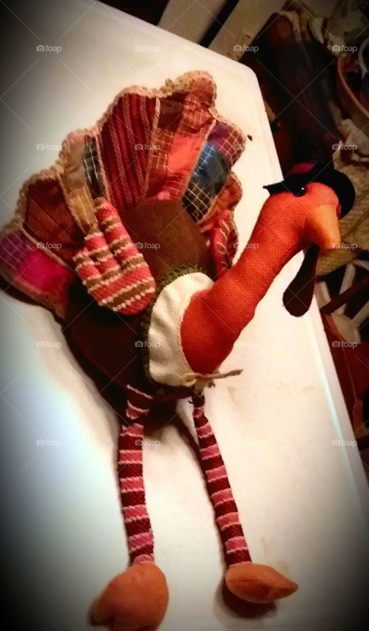 picked this little guy up from cracker barrel.😊 my 2 year old granddaughter loves the turkeys that are in the woods she will love this!💖