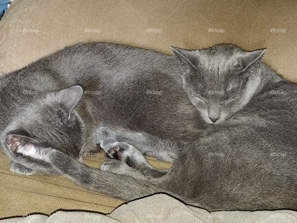 two for one nap time