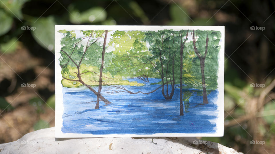 Trees and water, transparency and opaqueness - struggles of an artist.