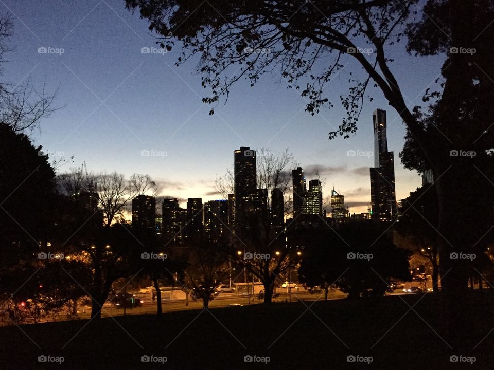 City, No Person, Tree, Light, Evening