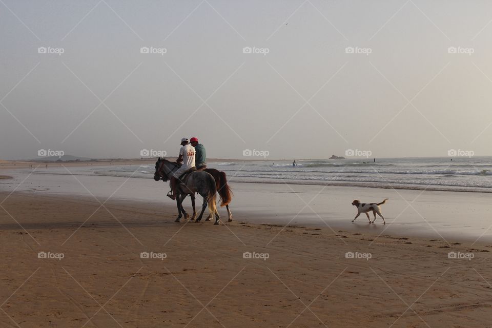 Riding horses along the beach