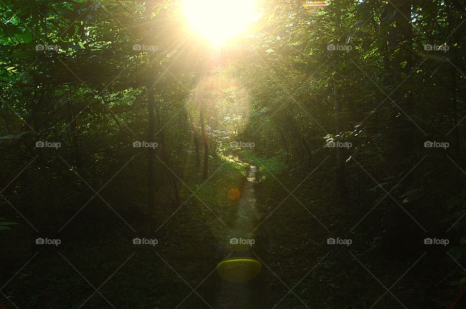 summer evening southern style