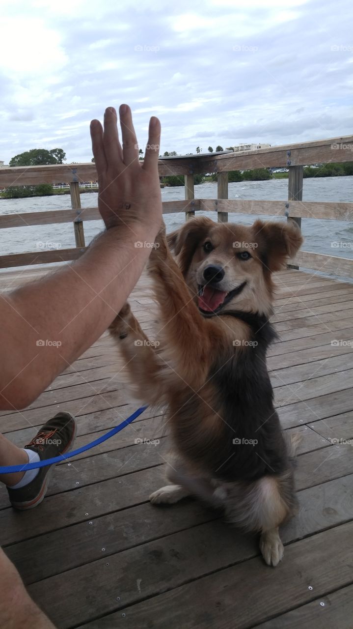 A happy high five