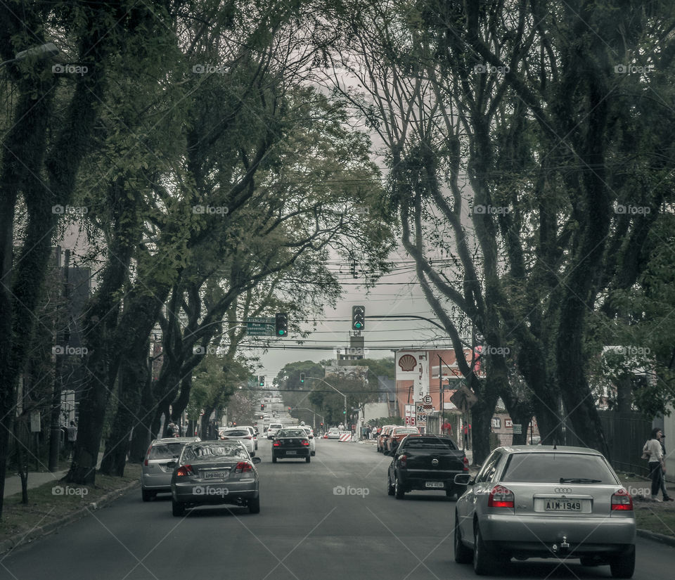 Road, Street, Car, Tree, City