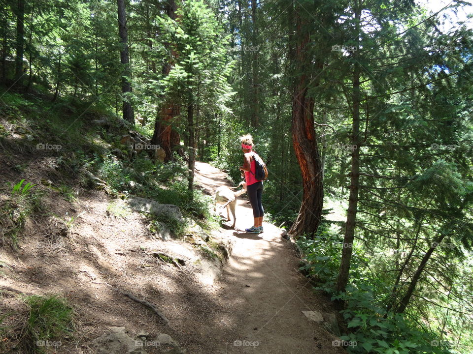 Hiking trail in Colorado.