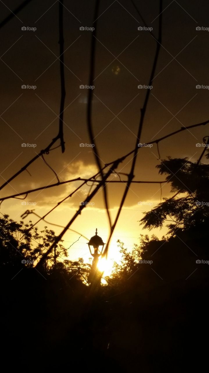 sun setting in yard