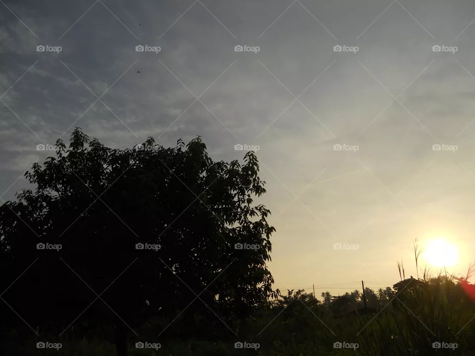 sunset sky