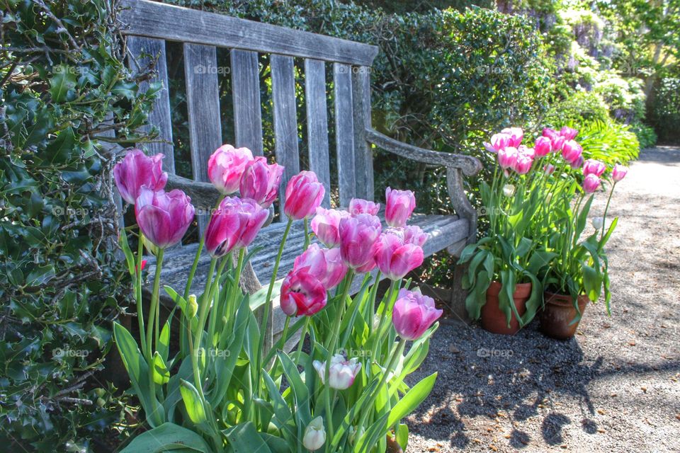 Sitting pretty in Spring