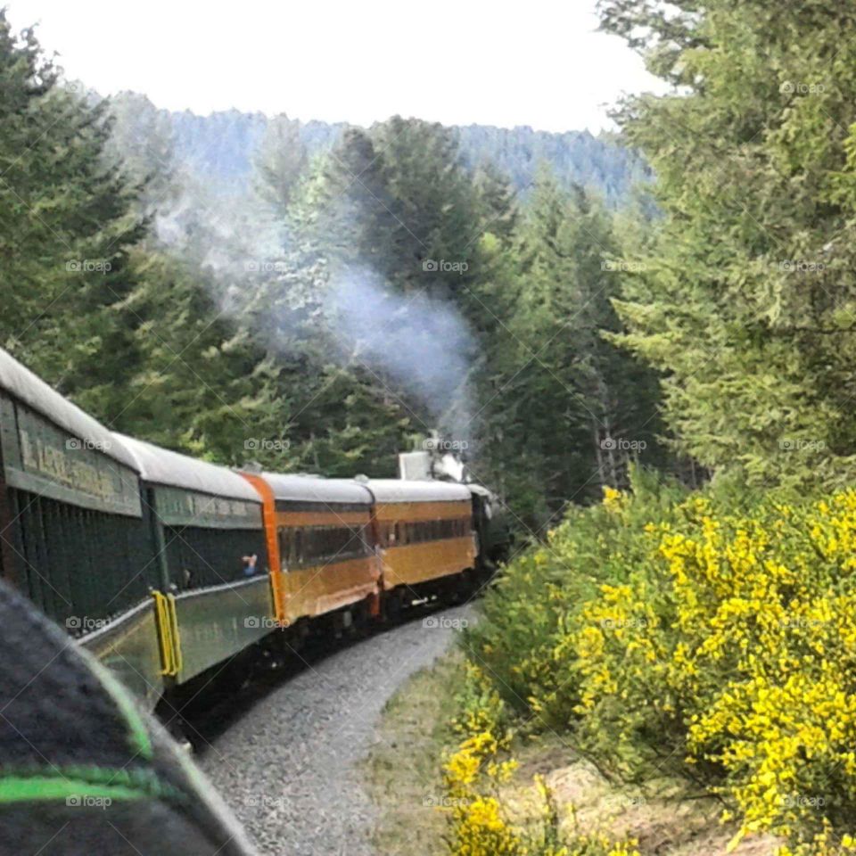 Mt. Rainier Scenic Train Ride