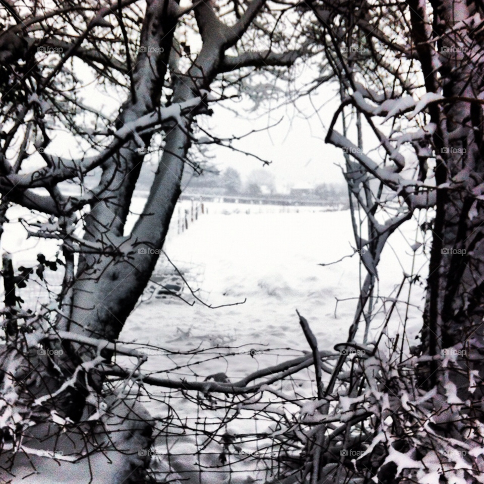 snow field fence black and white by elmah2707