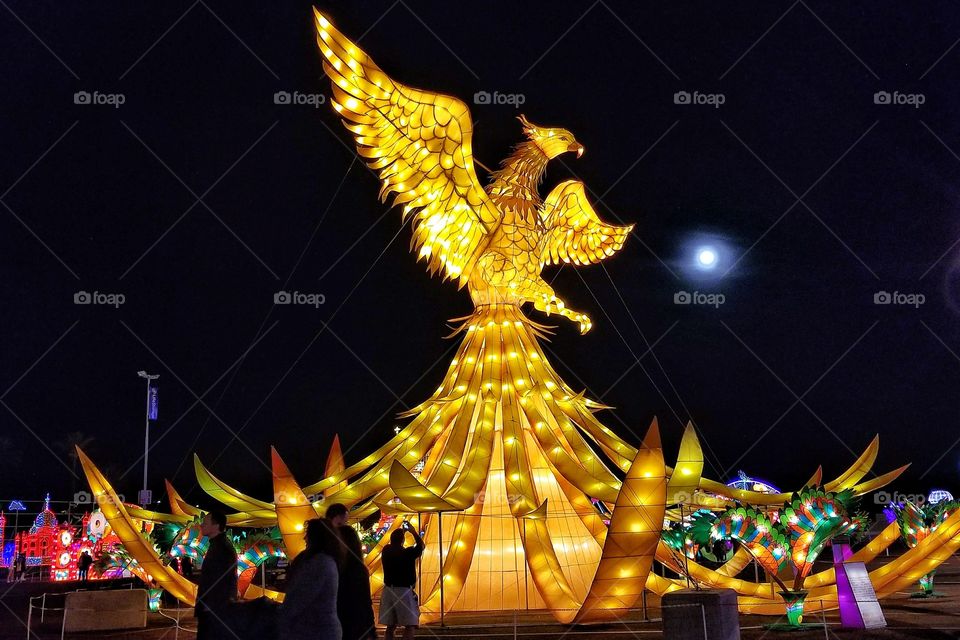 ILLUMINATION of Lights