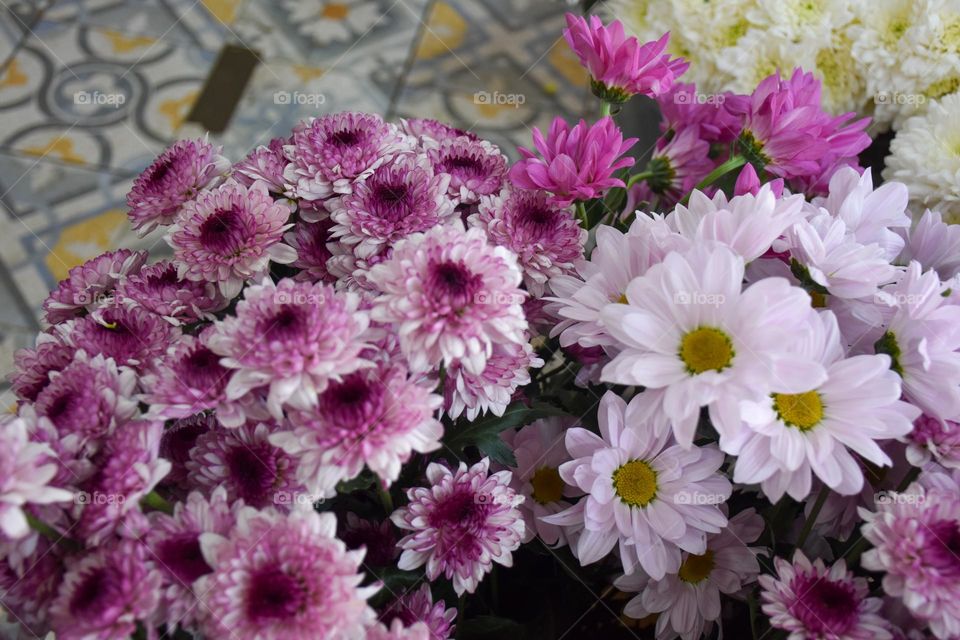 07. colorful flowers that inspire joy