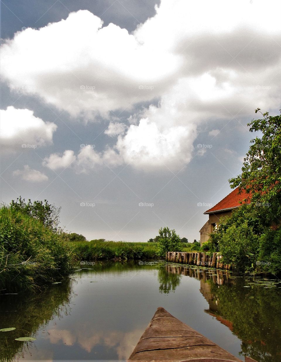 Marais de Saint Omer