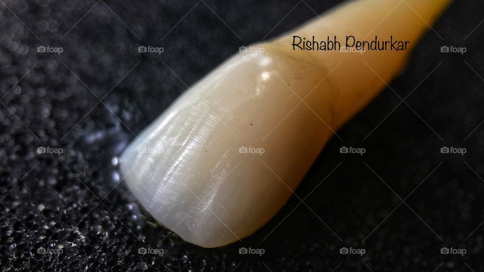 Central Incisor Human Tooth Anatomy Texture Shape Smile Tooth coloured  Composite 