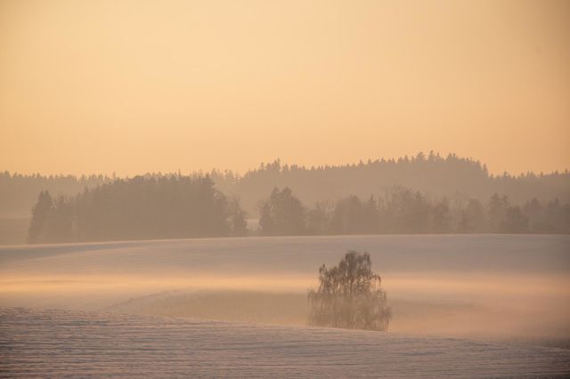 Winter Landscape during Golden Hour