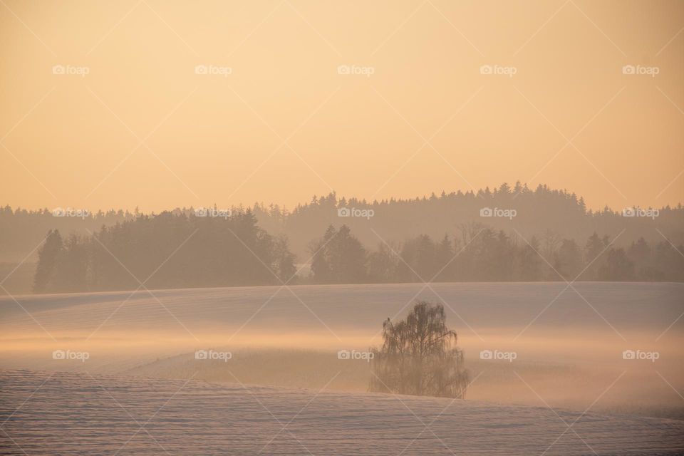 Winter Landscape during Golden Hour