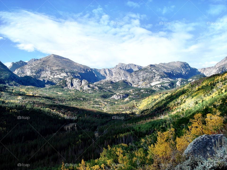 Scenic view of nature