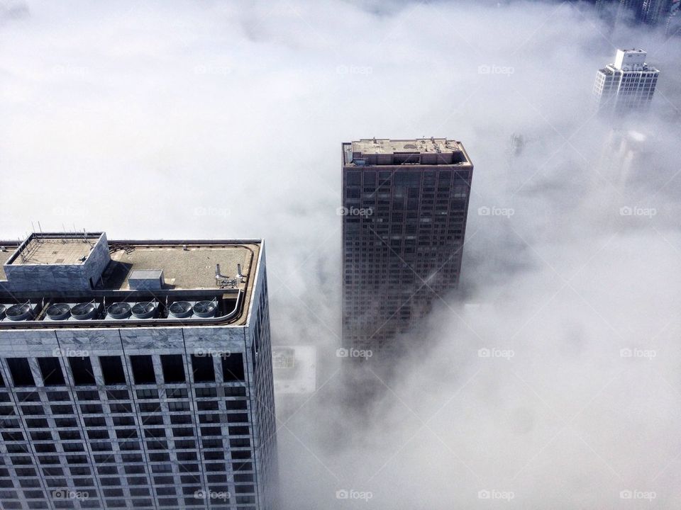 Fog city