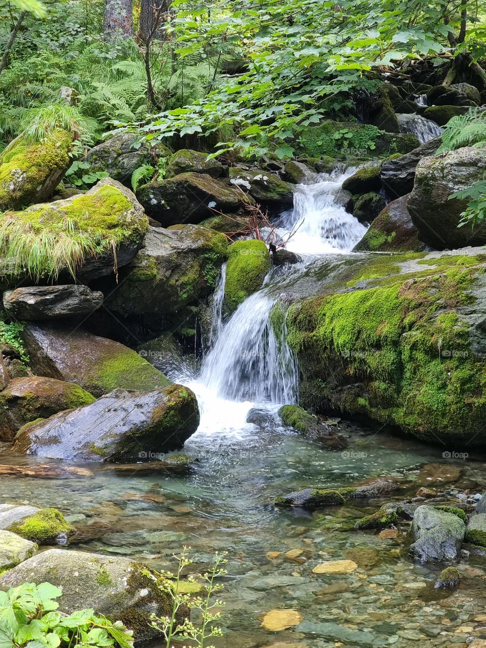 Atmospheric waterfall in a small stream in a green forest