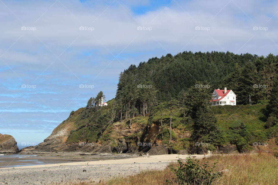 heceta cove