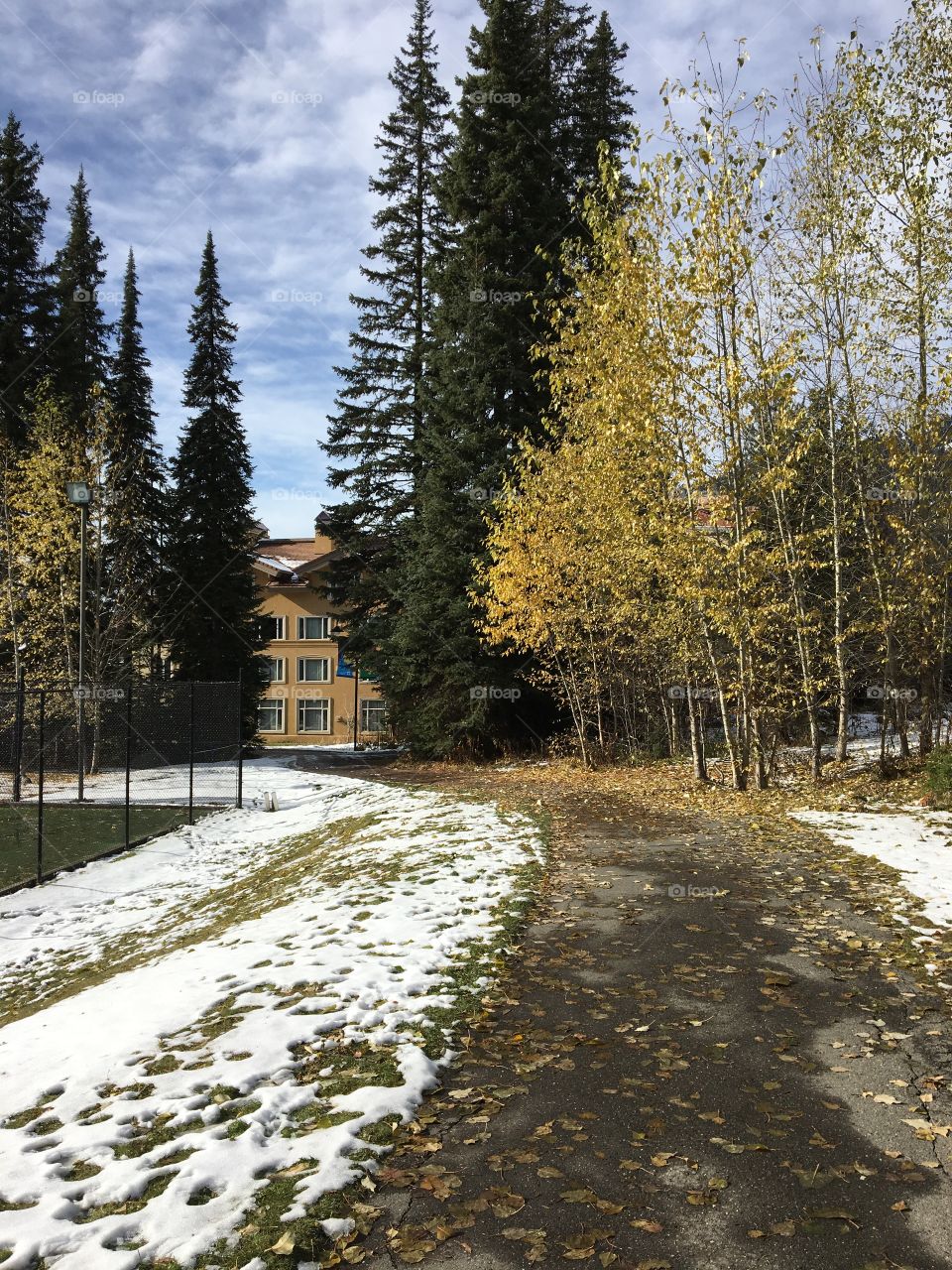 Beautiful autumn day 