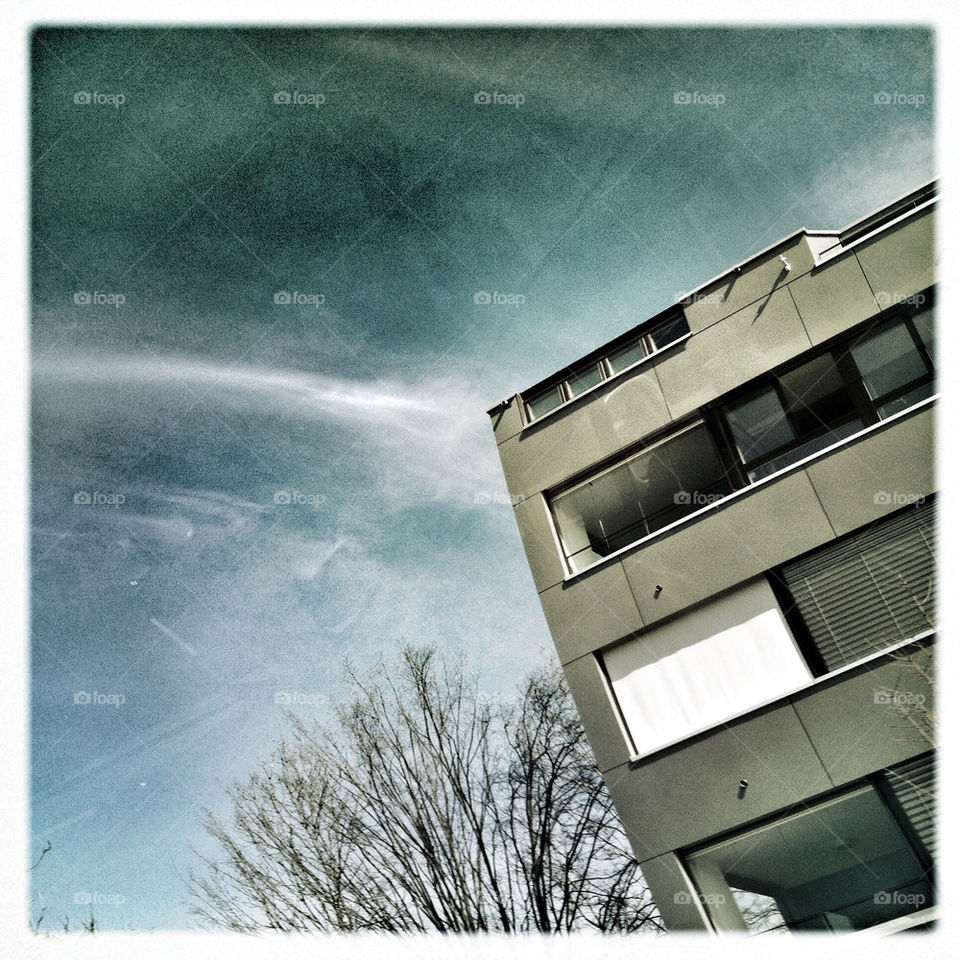 sky light grey tree by nivoa