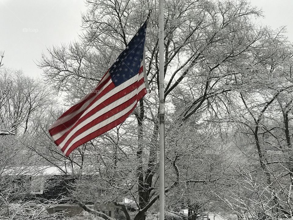 Flag on a snowy morning 