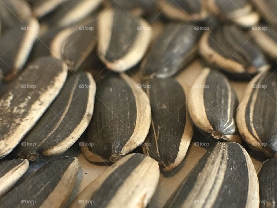 View of sunflower seeds