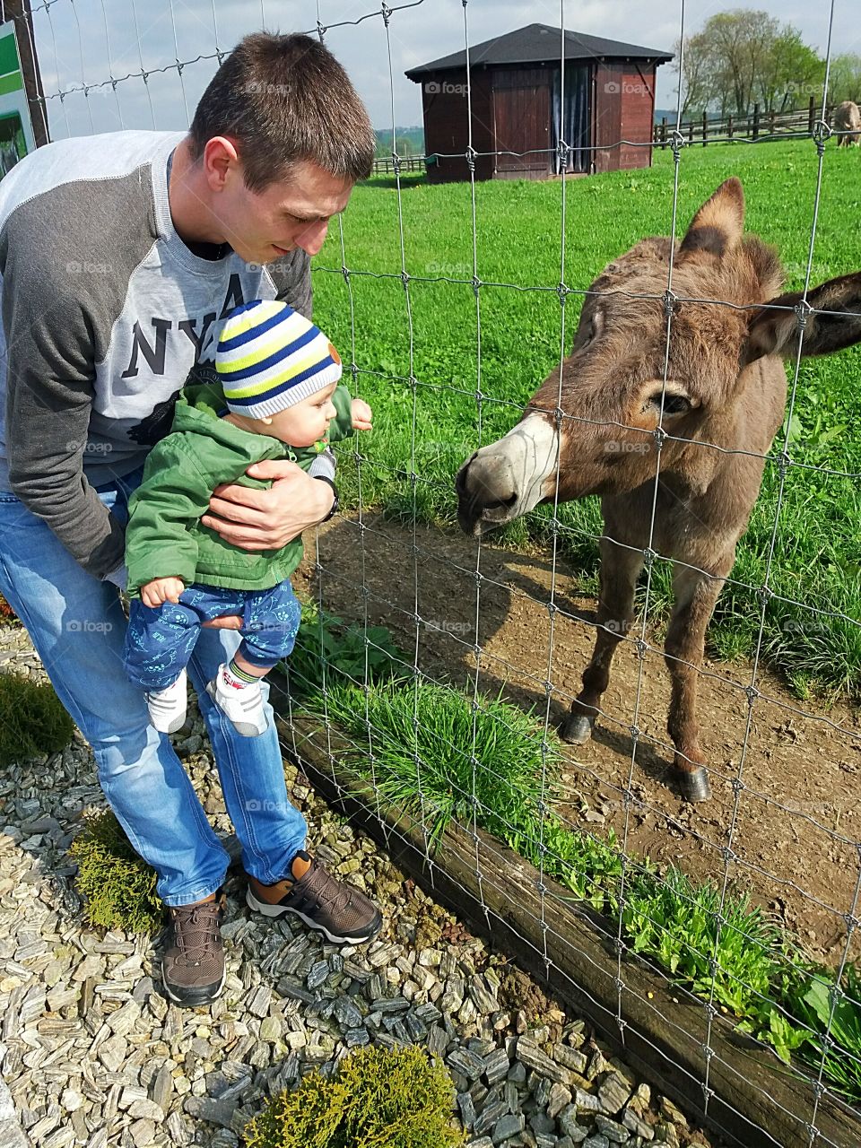 With donkey