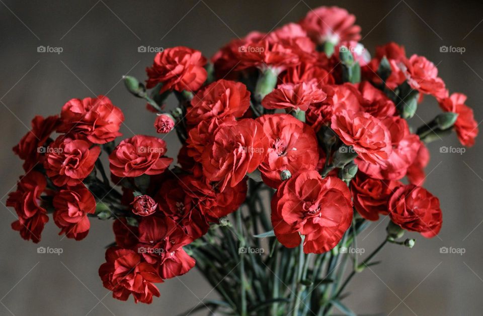 Beautiful and cute flowers