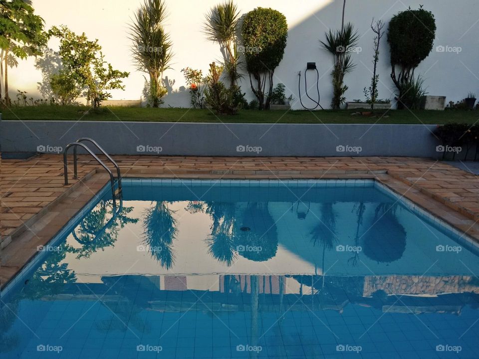 A garden in a swimming pool