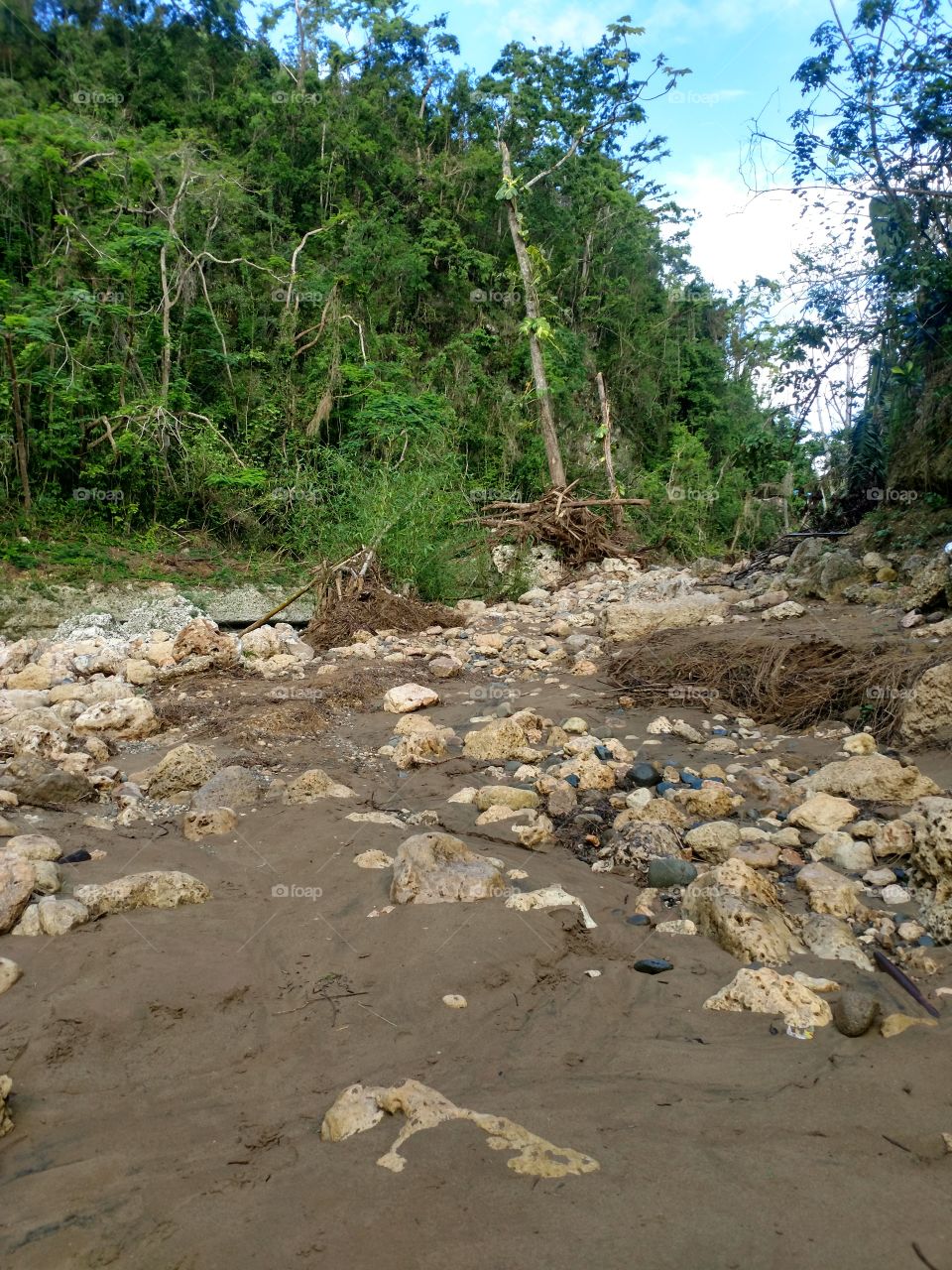 Riverbed at La Planta near a waterfall.