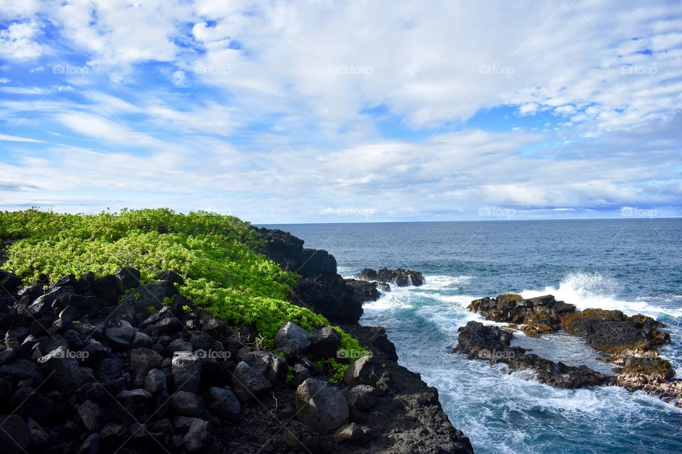 The lava sea cliffs on the east side of the Big Island of Hawaii 