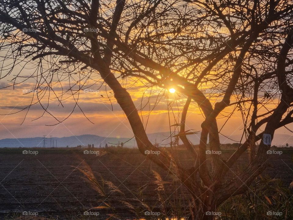 agriculture sunrise sunset sky clouds