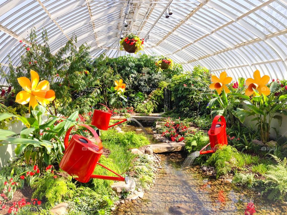 Watering cans and flowers