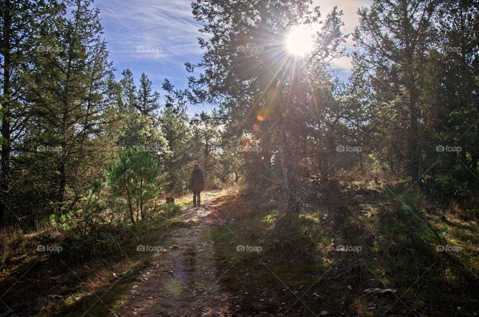 A woman hiking by the forest at Soria, Spain 