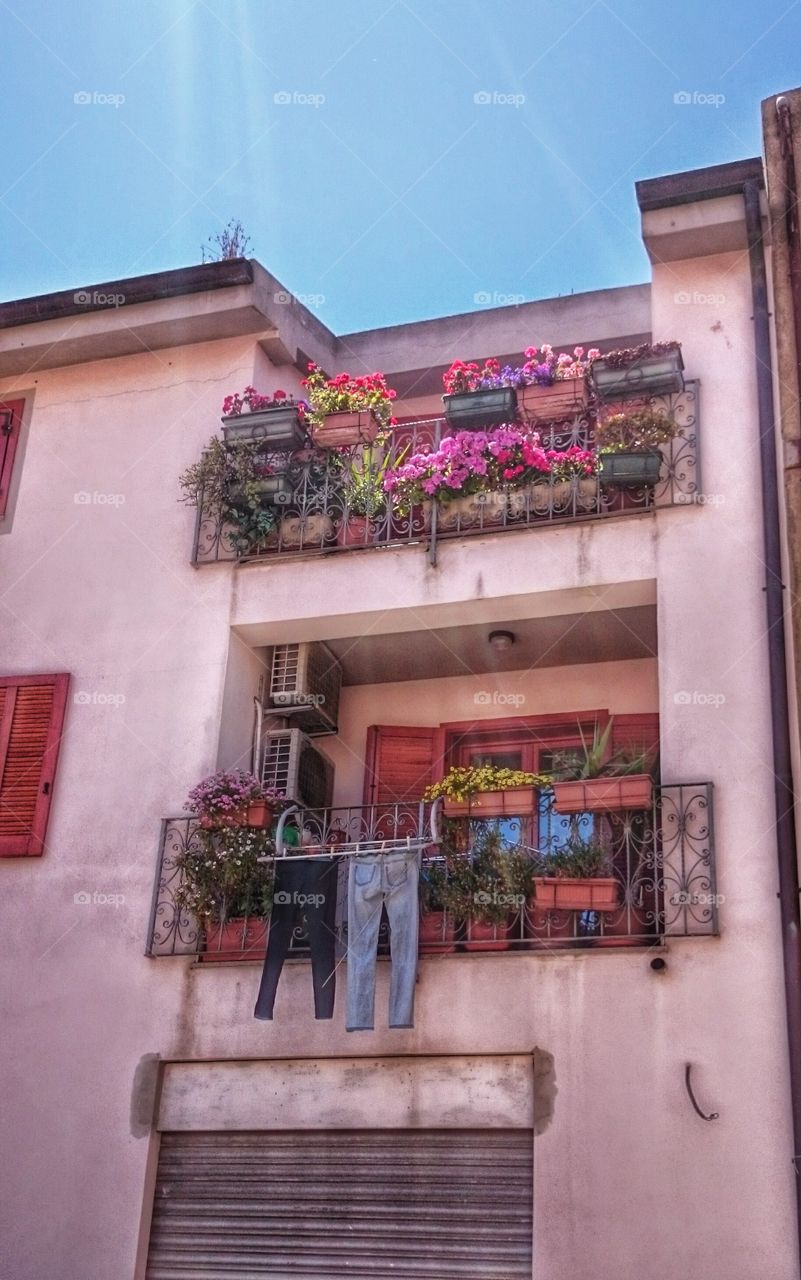 flowering balcony. flowering balcony