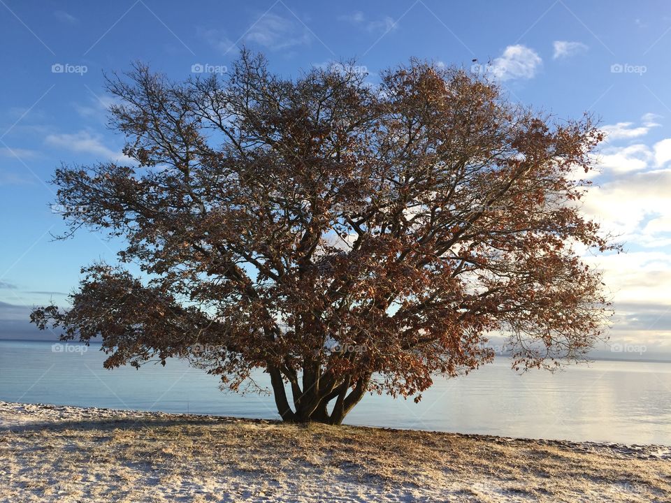 Beautiful morning at Vita Sand, Kalmar , Sweden 