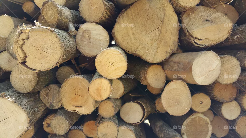 Wood